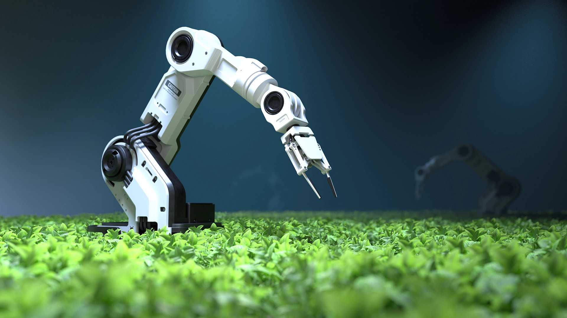 Ses ile “Hissetmeyi” Başaran Robotlar, Çiftlik İşlerine Yardımcı Olabilir