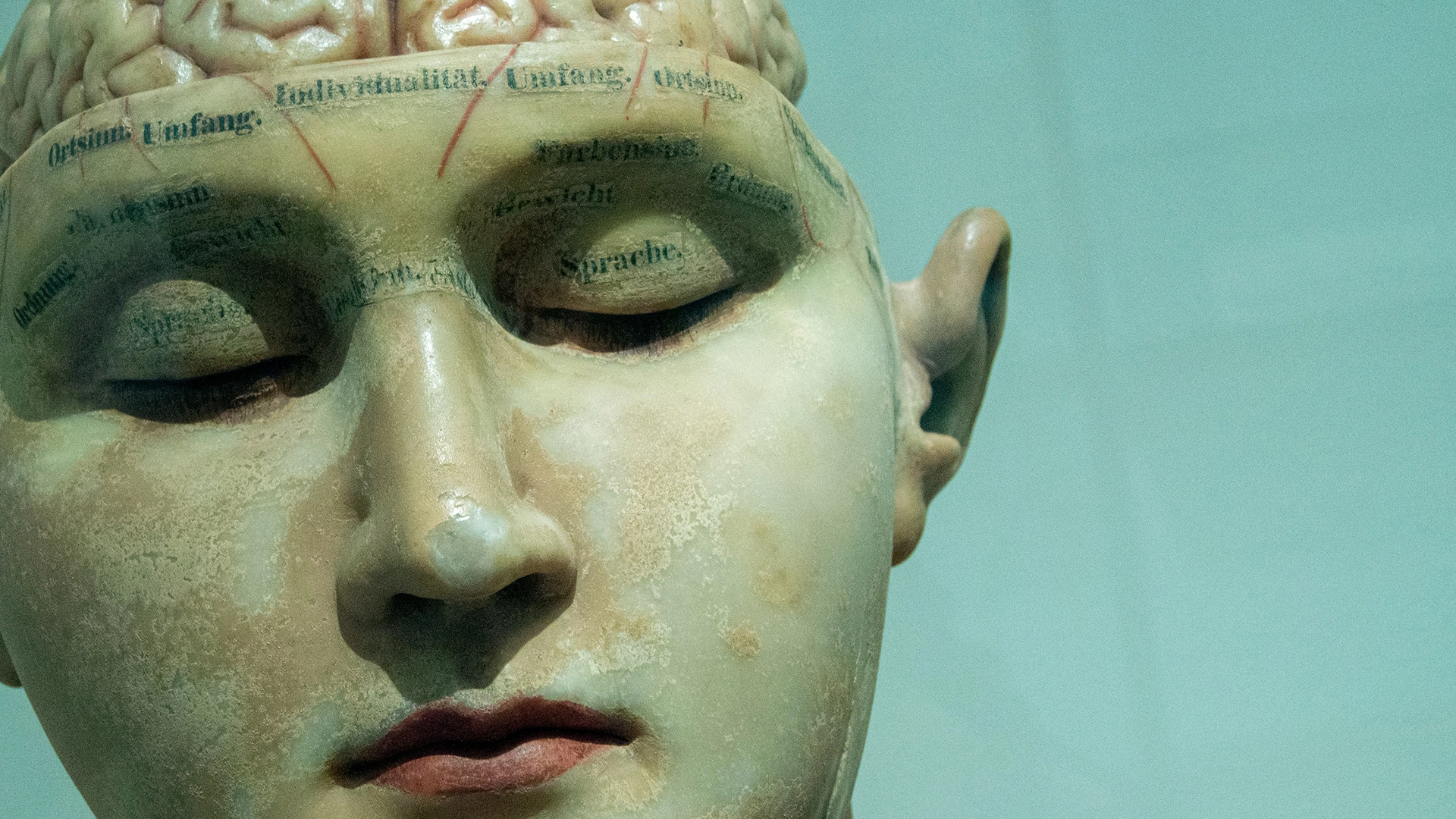 OpenAI, Musk’ın Neuralink’ine Rakip Olacak 850 Milyon Dolarlık Beyin-Bilgisayar Startup’ına Destek Olacak